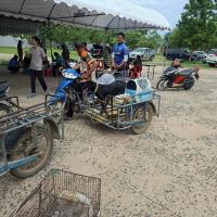 โครงการพระราชดำริสัตว์ปลอดโรคคนปลอดภัย (ทำหมันสุนัขและแมว) ประจำปีงบประมาณ 2569