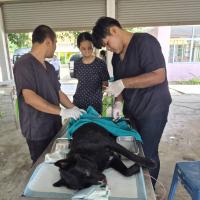โครงการพระราชดำริสัตว์ปลอดโรคคนปลอดภัย (ทำหมันสุนัขและแมว) ประจำปีงบประมาณ 2569