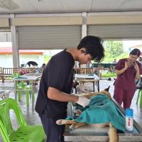 โครงการพระราชดำริสัตว์ปลอดโรคคนปลอดภัย (ทำหมันสุนัขและแมว) ประจำปีงบประมาณ 2569