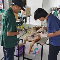 โครงการพระราชดำริสัตว์ปลอดโรคคนปลอดภัย (ทำหมันสุนัขและแมว) ประจำปีงบประมาณ 2569
