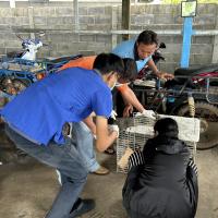 โครงการพระราชดำริสัตว์ปลอดโรคคนปลอดภัย (ทำหมันสุนัขและแมว) ประจำปีงบประมาณ 2569