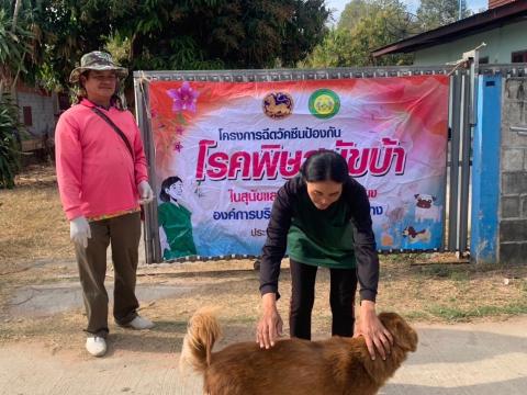 โครงการฉีดวัคซีนป้องกันโรคพิษสุนัขบ้าในสุนัขและแมว และสัตว์เลี้ยง ประจำปี 2568