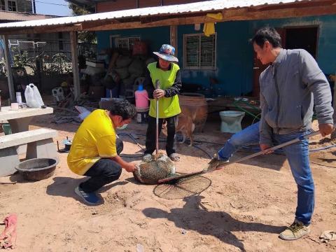 โครงการฉีดวัคซีนป้องกันโรคพิษสุนัขบ้าในสุนัขและแมว และสัตว์เลี้ยง ประจำปี 2568