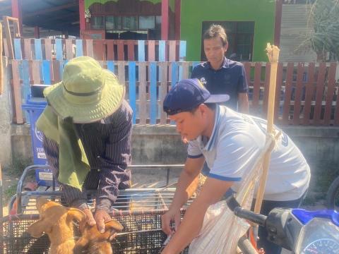 โครงการฉีดวัคซีนป้องกันโรคพิษสุนัขบ้าในสุนัขและแมว และสัตว์เลี้ยง ประจำปี 2568