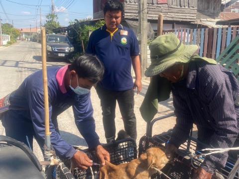 โครงการฉีดวัคซีนป้องกันโรคพิษสุนัขบ้าในสุนัขและแมว และสัตว์เลี้ยง ประจำปี 2568
