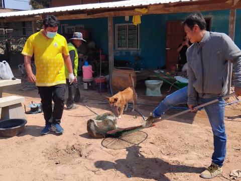 โครงการฉีดวัคซีนป้องกันโรคพิษสุนัขบ้าในสุนัขและแมว และสัตว์เลี้ยง ประจำปี 2568