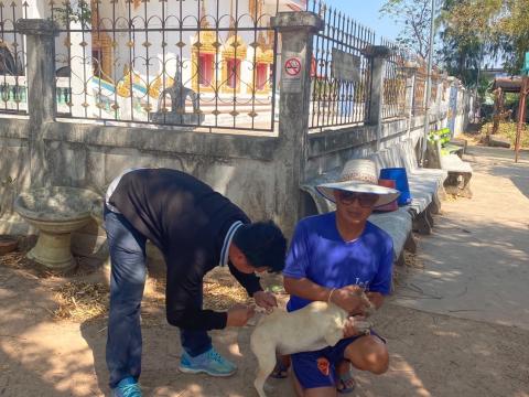 โครงการฉีดวัคซีนป้องกันโรคพิษสุนัขบ้าในสุนัขและแมว และสัตว์เลี้ยง ประจำปี 2568