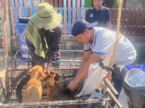 โครงการฉีดวัคซีนป้องกันโรคพิษสุนัขบ้าในสุนัขและแมว และสัตว์เลี้ยง ประจำปี 2568