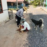 เจ้าหน้าที่กองสาธารสุขออกปฏิบัติหน้าที่ฉีดวัคซีนป้องกันโรคพิษสุนัขบ้า ในพื้นที่ตำบลบ้านยาง