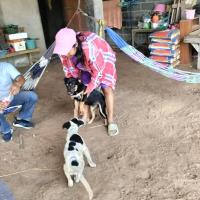 เจ้าหน้าที่กองสาธารสุขออกปฏิบัติหน้าที่ฉีดวัคซีนป้องกันโรคพิษสุนัขบ้า ในพื้นที่ตำบลบ้านยาง