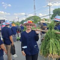 ประเพณีบุญบั้งไฟ