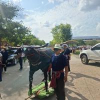 ประเพณีบุญบั้งไฟ