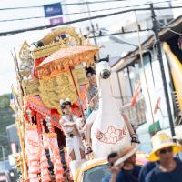 งานวิถีอีสานสืบสานวัฒนธรรมไทย (ฮีต 12 คอง 14) และงานกาชาดอำเภอพุทไธสง ประจำปี 2569 ประเพณีบุญบั้งไฟ