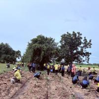 โครงการรักษ์น้ำ รักษ์ป่า รักษาแผ่นดิน ประจำปีงบประมาณ 2568