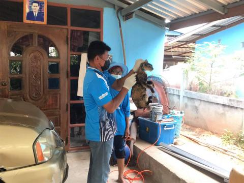 โครงการฉีดวัคซีนป้องกันโรคพิษสุนัขบ้าในสุนัขและแมวและสัตว์เลี้ยง