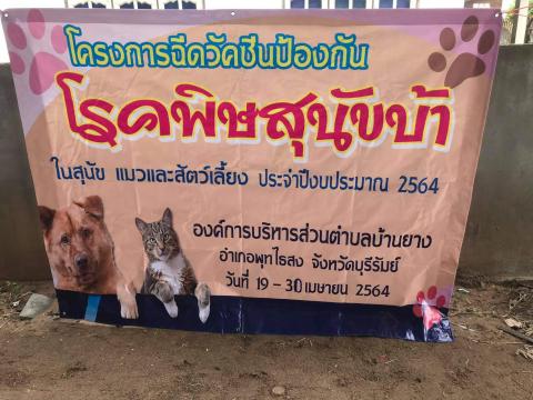 โครงการฉีดวัคซีนป้องกันโรคพิษสุนัขบ้าในสุนัขและแมวและสัตว์เลี้ยง