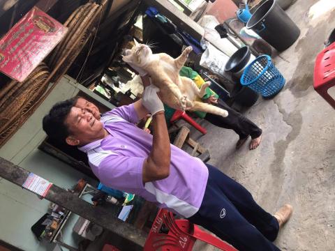 โครงการฉีดวัคซีนป้องกันโรคพิษสุนัขบ้าในสุนัขและแมวและสัตว์เลี้ยง