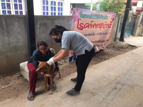 โครงการฉีดวัคซีนป้องกันโรคพิษสุนัขบ้าในสุนัขและแมวและสัตว์เลี้ยง