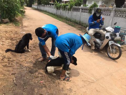 โครงการฉีดวัคซีนป้องกันโรคพิษสุนัขบ้าในสุนัขและแมวและสัตว์เลี้ยง