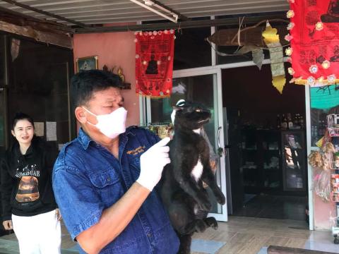 โครงการฉีดวัคซีนป้องกันโรคพิษสุนัขบ้าในสุนัข แมวและสัตว์เลี้ยง องค์การบริหารส่วนตำบลบ้านยาง ประจำปีงบประมาณ 2565