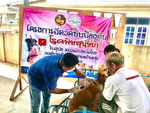 โครงการฉีดวัคซีนป้องกันโรคพิษสุนัขบ้าในสุนัข แมวและสัตว์เลี้ยง องค์การบริหารส่วนตำบลบ้านยาง ประจำปีงบประมาณ 2565