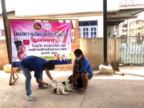 โครงการฉีดวัคซีนป้องกันโรคพิษสุนัขบ้าในสุนัข แมวและสัตว์เลี้ยง องค์การบริหารส่วนตำบลบ้านยาง ประจำปีงบประมาณ 2565