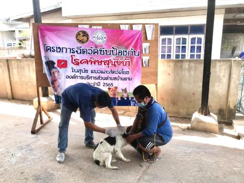 โครงการฉีดวัคซีนป้องกันโรคพิษสุนัขบ้าในสุนัข แมวและสัตว์เลี้ยง องค์การบริหารส่วนตำบลบ้านยาง ประจำปีงบประมาณ 2565