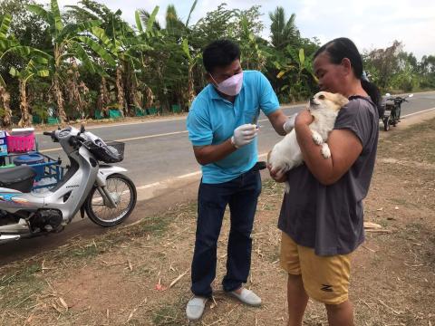 โครงการฉีดวัคซีนป้องกันโรคพิษสุนัขบ้าในสุนัข แมวและสัตว์เลี้ยง องค์การบริหารส่วนตำบลบ้านยาง ประจำปีงบประมาณ 2565