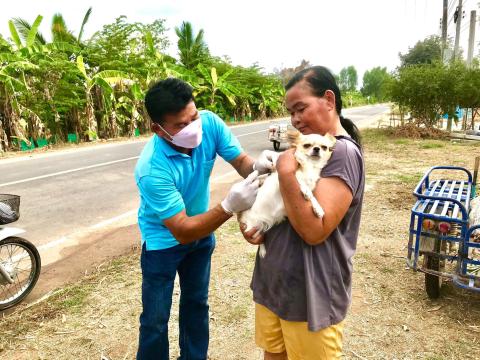 โครงการฉีดวัคซีนป้องกันโรคพิษสุนัขบ้าในสุนัข แมวและสัตว์เลี้ยง องค์การบริหารส่วนตำบลบ้านยาง ประจำปีงบประมาณ 2565