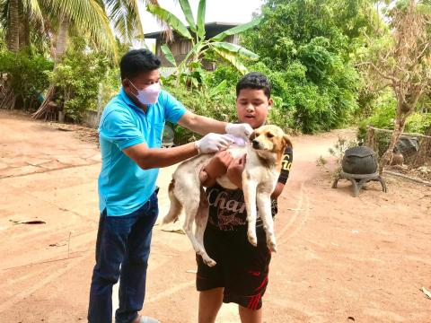 โครงการฉีดวัคซีนป้องกันโรคพิษสุนัขบ้าในสุนัข แมวและสัตว์เลี้ยง องค์การบริหารส่วนตำบลบ้านยาง ประจำปีงบประมาณ 2565