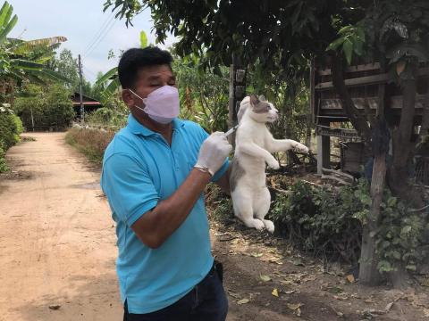 โครงการฉีดวัคซีนป้องกันโรคพิษสุนัขบ้าในสุนัข แมวและสัตว์เลี้ยง องค์การบริหารส่วนตำบลบ้านยาง ประจำปีงบประมาณ 2565