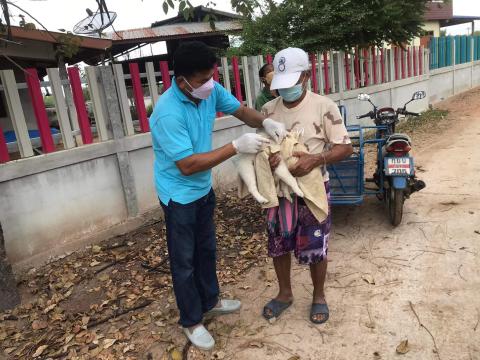 โครงการฉีดวัคซีนป้องกันโรคพิษสุนัขบ้าในสุนัข แมวและสัตว์เลี้ยง องค์การบริหารส่วนตำบลบ้านยาง ประจำปีงบประมาณ 2565