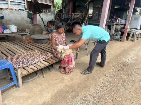 โครงการฉีดวัคซีนป้องกันโรคพิษสุนัขบ้านในสุนัขและแมว และสัตว์เลี้ยง