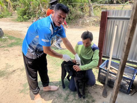 โครงการฉีดวัคซีนป้องกันโรคพิษสุนัขบ้านในสุนัขและแมว และสัตว์เลี้ยง