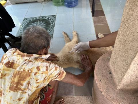 โครงการฉีดวัคซีนป้องกันโรคพิษสุนัขบ้านในสุนัขและแมว และสัตว์เลี้ยง
