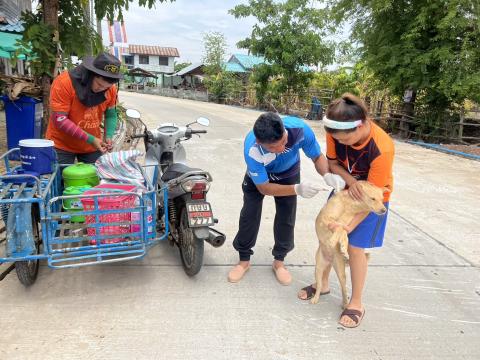โครงการฉีดวัคซีนป้องกันโรคพิษสุนัขบ้านในสุนัขและแมว และสัตว์เลี้ยง