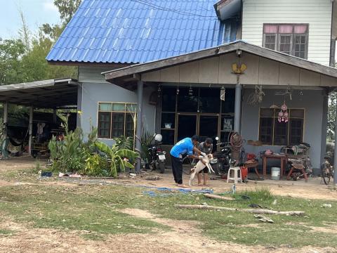 โครงการฉีดวัคซีนป้องกันโรคพิษสุนัขบ้านในสุนัขและแมว และสัตว์เลี้ยง