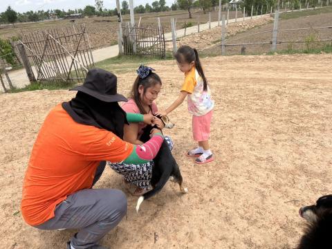 โครงการฉีดวัคซีนป้องกันโรคพิษสุนัขบ้านในสุนัขและแมว และสัตว์เลี้ยง