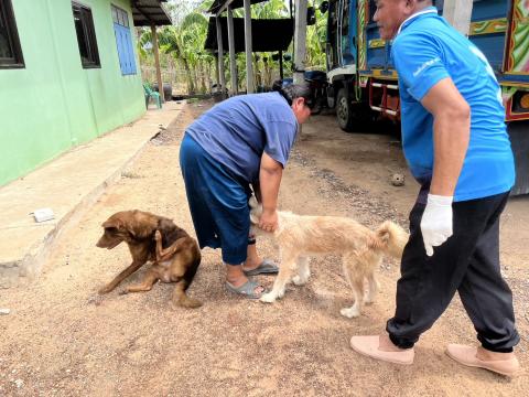 โครงการฉีดวัคซีนป้องกันโรคพิษสุนัขบ้านในสุนัขและแมว และสัตว์เลี้ยง