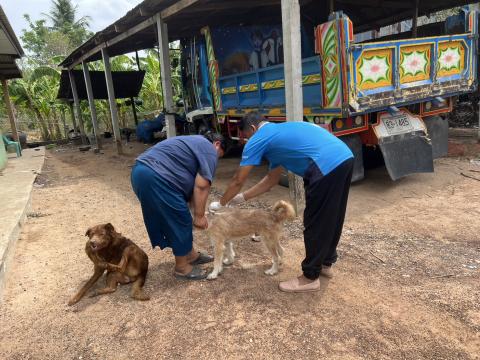 โครงการฉีดวัคซีนป้องกันโรคพิษสุนัขบ้านในสุนัขและแมว และสัตว์เลี้ยง