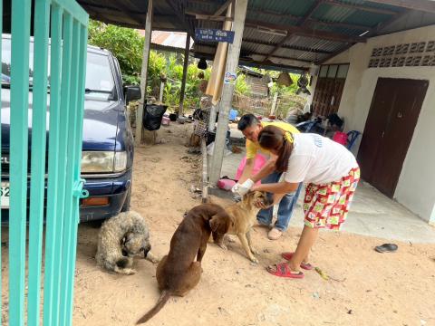 โครงการฉีดวัคซีนป้องกันโรคพิษสุนัขบ้านในสุนัขและแมว และสัตว์เลี้ยง