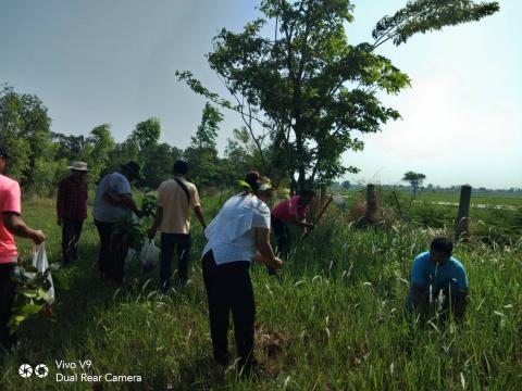 กิจกรรมวันต้นไม้ประจำปีของชาติ ประจำปี 2566