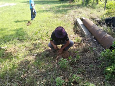 กิจกรรมวันต้นไม้ประจำปีของชาติ ประจำปี 2566