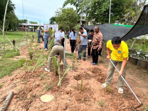โครงการสนับสนุนการเรียนรู้อันเนื่องมาจากพระราชดำริ กิจกรรมอนุรักษ์สมุนไพรท้องถิ่น ประจำปีงบประมาณ 2566