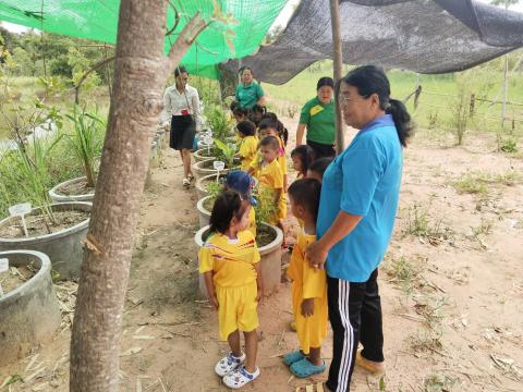 การให้ความรู้เกี่ยวกับสมุนไพรกับเด็กในศูนย์พัฒนาเด็กเล็กวัดจินดามณี